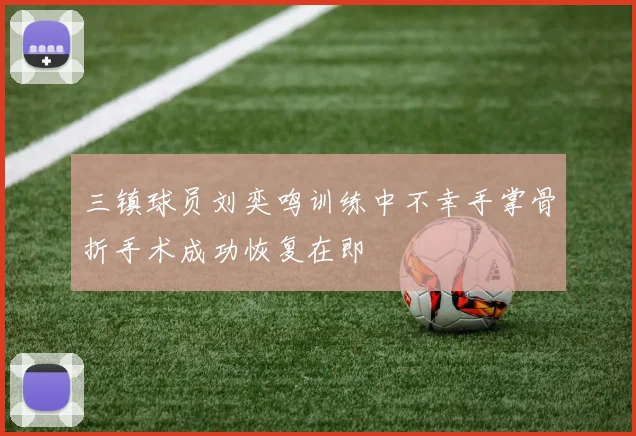 三镇球员刘奕鸣训练中不幸手掌骨折手术成功恢复在即