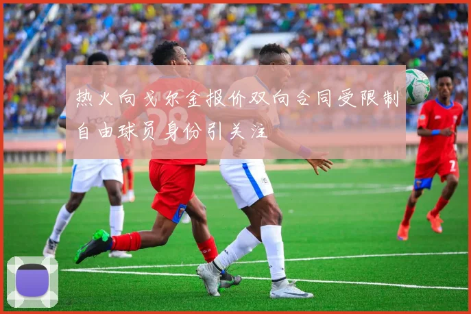 热火向戈尔金报价双向合同受限制自由球员身份引关注